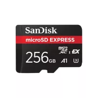 SanDisk microSDXC Express 256GB U3 (880/650/210MB/s)