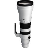 Sigma 300-600mm f/4 DG OS Sports (Sony E)