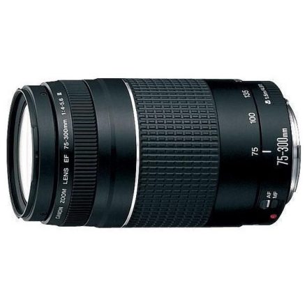 Canon EF 75-300mm f/4-5.6 III