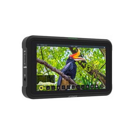 Atomos Shinobi 5" kontroll monitor (ATOMSHBH01)