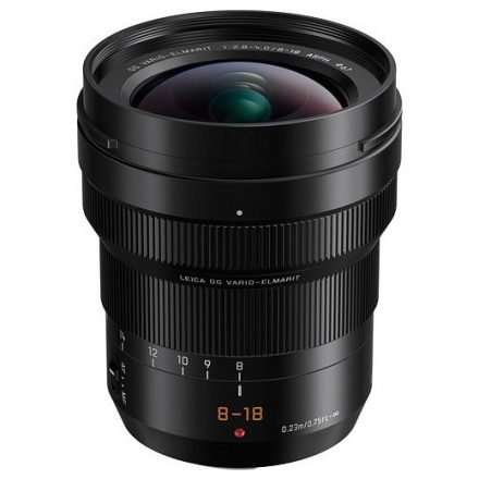 Panasonic Leica DG Vario-Elmarit 8-18mm f/2.8-4 ASPH