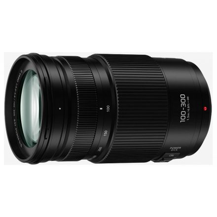 Panasonic Lumix G Vario 100-300mm f/4.0-5.6 II Power O.I.S.