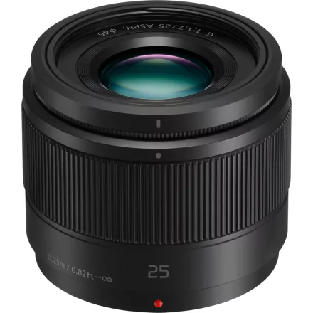Panasonic Lumix G 25mm f/1.7 (OEM)