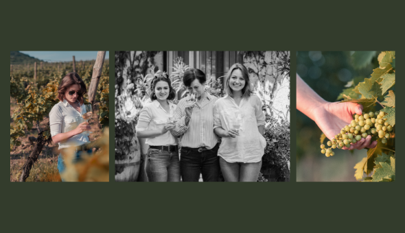 Beszámoló - Bor, mámor, Budapest - OM System fotós workshop