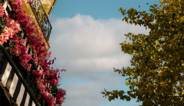 Beszámoló - Egy fotósorozat margójára: Párizs