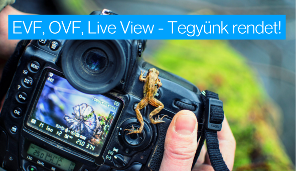 OVF, EVF és Live View: A legjobb megjelenítési módszer kiválasztása