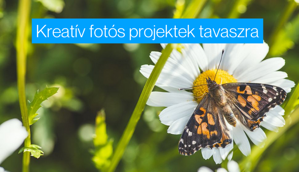 Fotós tippek: Kreatív fotográfiai projektek 2024 tavaszára