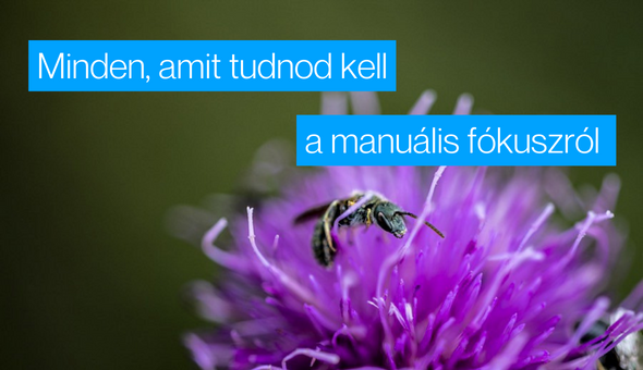 Fotós tippek: Minden, amit tudni kell a manuális fókuszról 