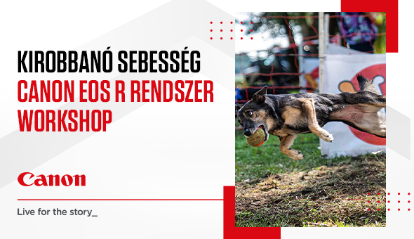 Canon - Flyball kutyás edzés fotózás