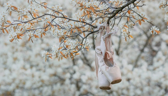 Beszámoló - Egy hattyú a mandulafák között 