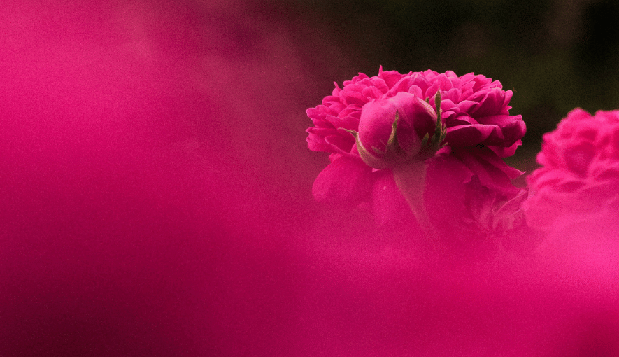 Beszámoló - Az én történetem