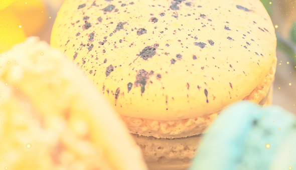 Beszámoló - Macaron&Flowers - OM SYSTEM fotós workshop