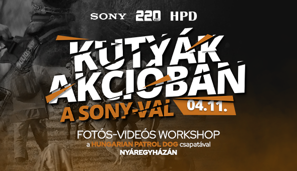 Kutyák akcióban a Sony-val